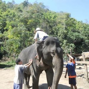 Meet your Posher, Sue